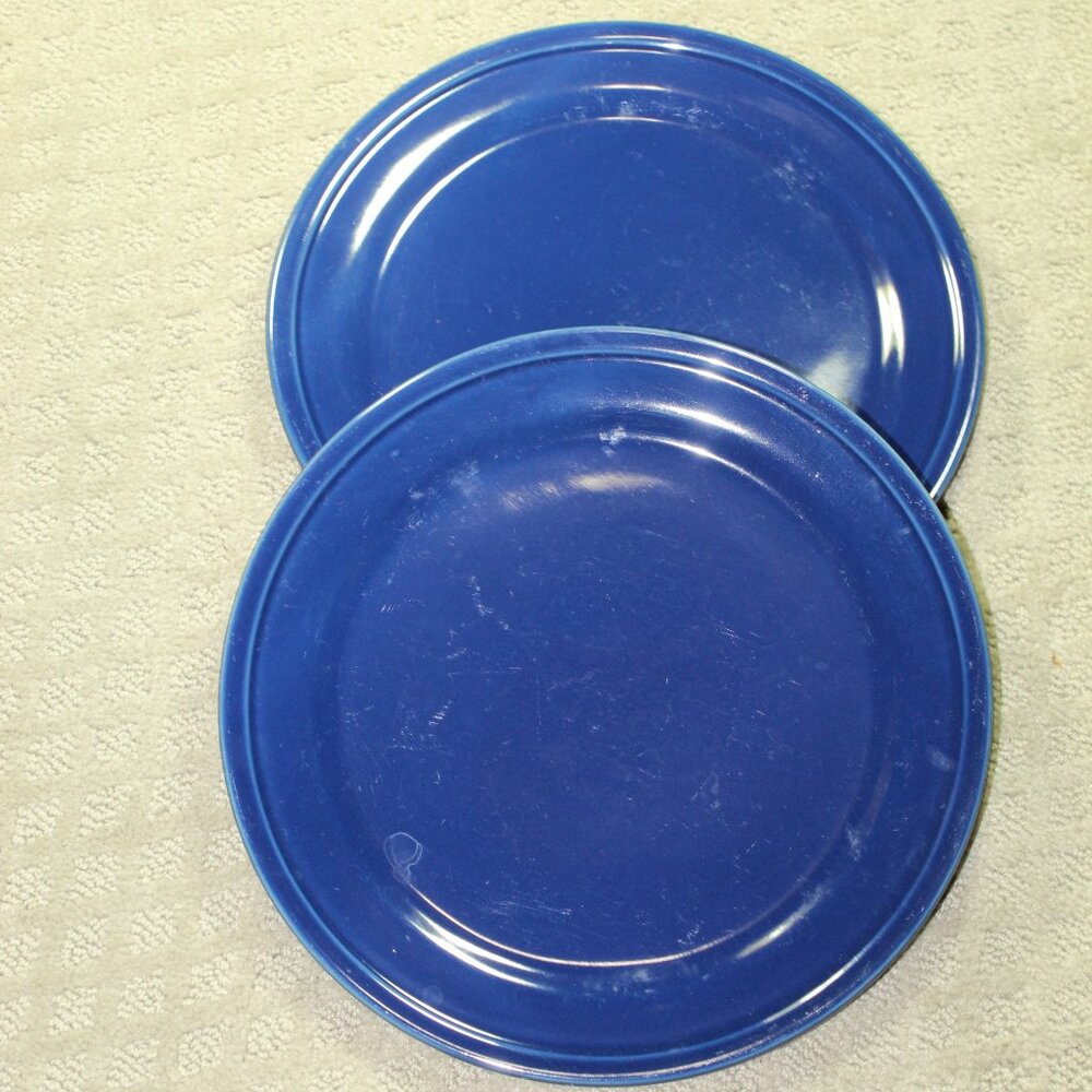 Set of 2 Kate Spade Lenox Blue Dinner Plates